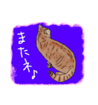 福さん（ねこ）（個別スタンプ：4）