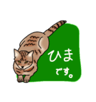 福さん（ねこ）（個別スタンプ：5）