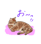 福さん（ねこ）（個別スタンプ：35）