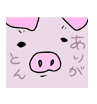 動物達のbig face（個別スタンプ：12）