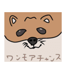 動物達のbig face（個別スタンプ：28）