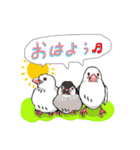 ポヨと鳥友たち（個別スタンプ：1）