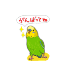 ポヨと鳥友たち（個別スタンプ：33）