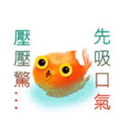 Golden fish（個別スタンプ：6）