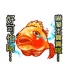 Golden fish（個別スタンプ：16）