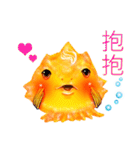 Golden fish（個別スタンプ：18）