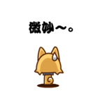 ころころしばわんこ2（個別スタンプ：18）