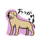 なんか犬（個別スタンプ：8）