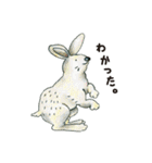 はじめてのどうぶつずかん（個別スタンプ：16）