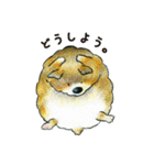 はじめてのどうぶつずかん（個別スタンプ：23）