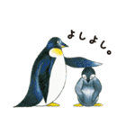 はじめてのどうぶつずかん（個別スタンプ：26）