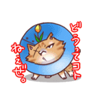 花ねこ ブンジ（個別スタンプ：38）