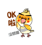 cute cockatiel 1（個別スタンプ：2）