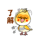 cute cockatiel 1（個別スタンプ：3）