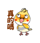 cute cockatiel 1（個別スタンプ：7）