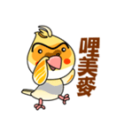 cute cockatiel 1（個別スタンプ：11）