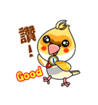 cute cockatiel 1（個別スタンプ：13）