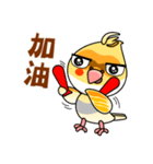 cute cockatiel 1（個別スタンプ：16）