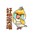 cute cockatiel 1（個別スタンプ：25）