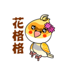 cute cockatiel 1（個別スタンプ：28）