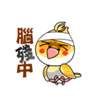 cute cockatiel 1（個別スタンプ：30）