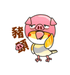 cute cockatiel 1（個別スタンプ：31）