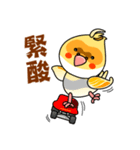 cute cockatiel 1（個別スタンプ：32）