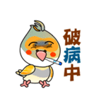 cute cockatiel 1（個別スタンプ：34）