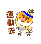 cute cockatiel 1（個別スタンプ：35）