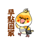 cute cockatiel 1（個別スタンプ：37）