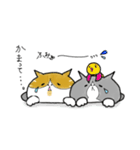 ゆるっとぷにぽぽ。（個別スタンプ：34）