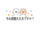 吹き出し敬語日常会話2 ふきだし ねこ くま（個別スタンプ：22）