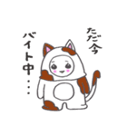 シロコの日常（個別スタンプ：33）
