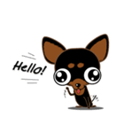 Cute Choc chip (Chiwawa dog)（個別スタンプ：2）