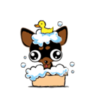 Cute Choc chip (Chiwawa dog)（個別スタンプ：3）