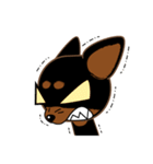 Cute Choc chip (Chiwawa dog)（個別スタンプ：5）