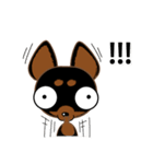 Cute Choc chip (Chiwawa dog)（個別スタンプ：13）