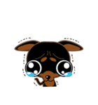 Cute Choc chip (Chiwawa dog)（個別スタンプ：14）