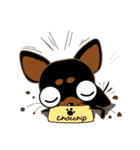 Cute Choc chip (Chiwawa dog)（個別スタンプ：18）