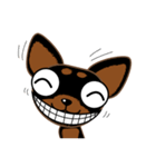 Cute Choc chip (Chiwawa dog)（個別スタンプ：22）