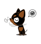 Cute Choc chip (Chiwawa dog)（個別スタンプ：27）