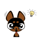 Cute Choc chip (Chiwawa dog)（個別スタンプ：29）