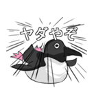嫌味なペンギン（個別スタンプ：10）