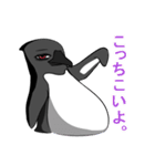 嫌味なペンギン（個別スタンプ：30）