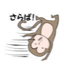 はやいどうぶつ（個別スタンプ：20）