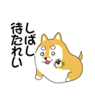 癒し犬 豆柴 マメ太（個別スタンプ：4）