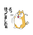 癒し犬 豆柴 マメ太（個別スタンプ：29）