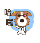 Jiro God dog（個別スタンプ：4）