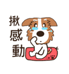 Jiro God dog（個別スタンプ：10）