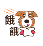 Jiro God dog（個別スタンプ：11）